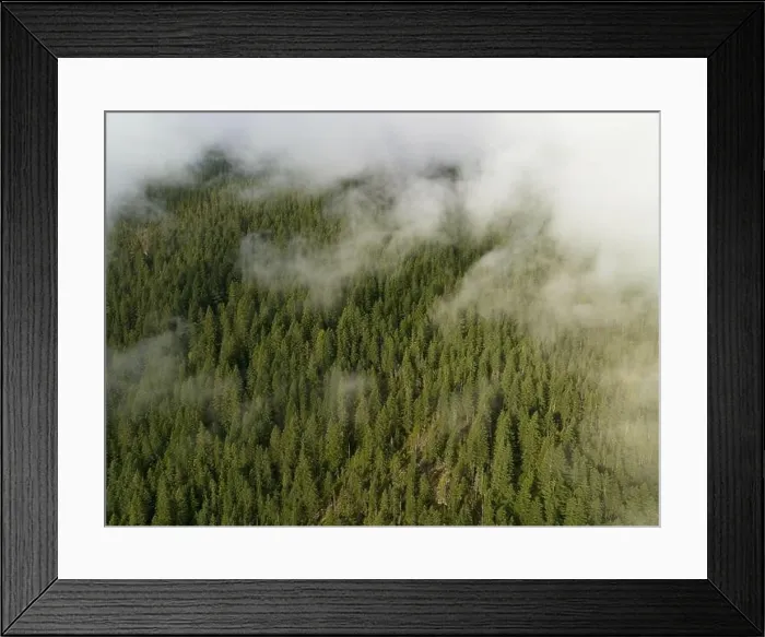Framed Print : Clouds drift across the rugged, forested landscape in North Cascades National Park. This mountainous region of Washington is heavily forested