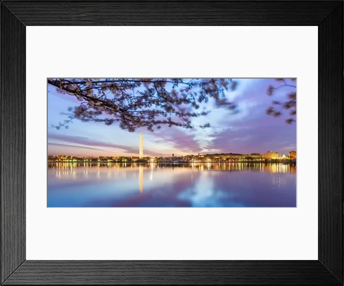 Framed Print : Washington DC, USA at the tidal basin with Washington Monument in spring season