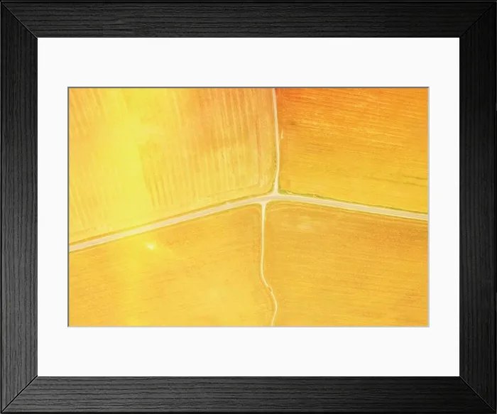 Framed Print : yellow Clusters Of Agricultural Fields Sown With Different Crops. Aerial View country road through fields. Golden Wheat Agricultural Summer Season Framed Print : yellow Clusters Of Agricultural Fields Sown With Different Crops. Aerial View country road through fields. Golden Wheat Agricultural Summer Season