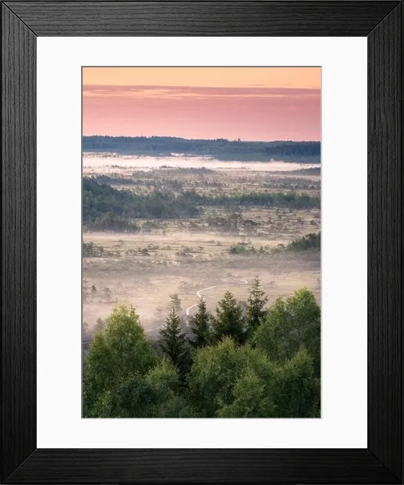 Framed Print : Scenic landscape with morning light and foggy forest at swamp in National Park, Torronsuo, Finland Framed Print : Scenic landscape with morning light and foggy forest at swamp in National Park, Torronsuo, Finland