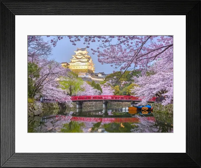 Framed Print : Himeji, Japan at Himeji Castle's surrounding moat in the spring season Framed Print : Himeji, Japan at Himeji Castle's surrounding moat in the spring season