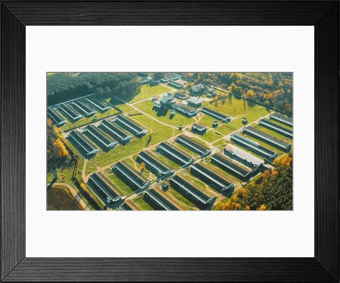 Framed Print : Aerial View Modern chicken farm, barns, Sheds. Bird's-eye View In Sunny Rural Landscape 4K Framed Print : Aerial View Modern chicken farm, barns, Sheds. Bird's-eye View In Sunny Rural Landscape 4K