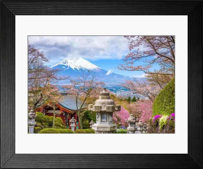Framed Print : Gotemba City, Japan at Peace Park with Mt. Fuji in spring season Framed Print : Gotemba City, Japan at Peace Park with Mt. Fuji in spring season
