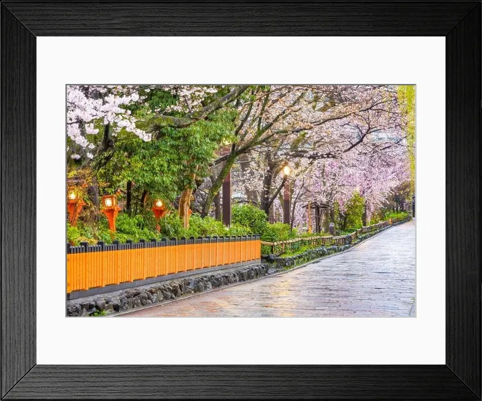 Framed Print : Gion Shirakawa, Kyoto, Japan old town streets in spring Framed Print : Gion Shirakawa, Kyoto, Japan old town streets in spring