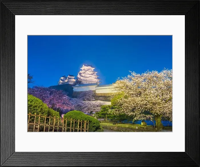 Framed Print : Himeji, Japan at Himeji Castle in spring with cherry blossoms at night Framed Print : Himeji, Japan at Himeji Castle in spring with cherry blossoms at night