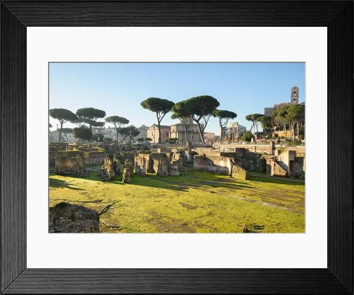 Framed Print : Ruins in the Roman Forum in Rome, Italy Framed Print : Ruins in the Roman Forum in Rome, Italy