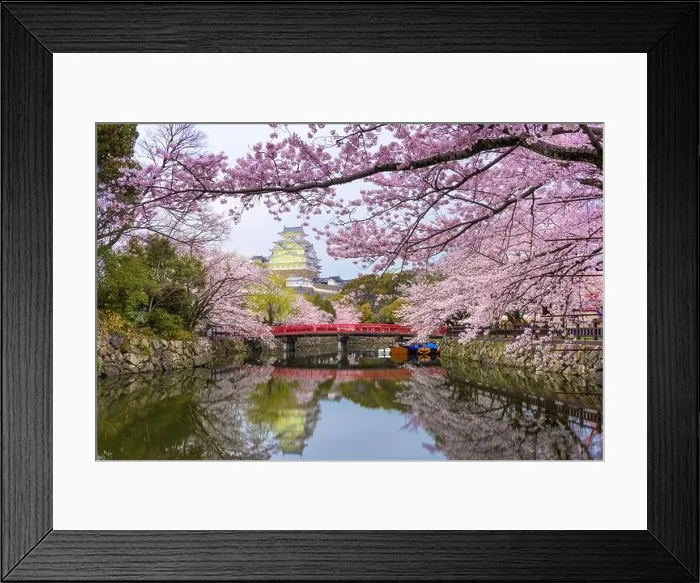 Framed Print : Himeji, Japan at Himeji Castle's surrounding moat in the spring season Framed Print : Himeji, Japan at Himeji Castle's surrounding moat in the spring season