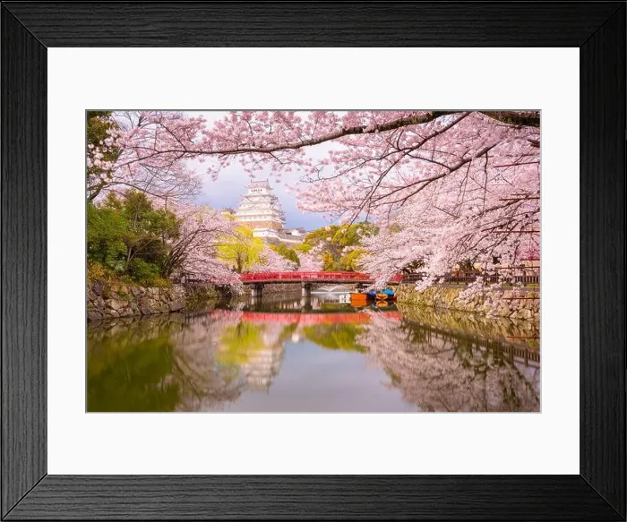 Framed Print : Himeji, Japan at Himeji Castle's surrounding moat in the spring season Framed Print : Himeji, Japan at Himeji Castle's surrounding moat in the spring season