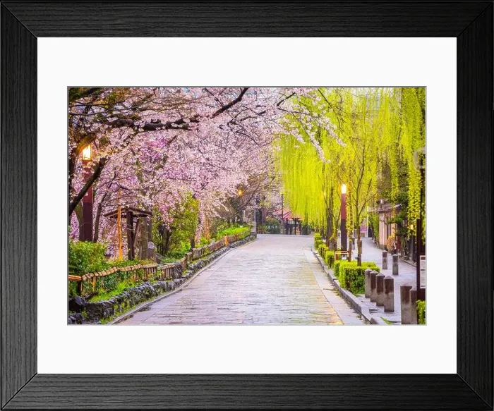 Framed Print : Gion Shirakawa, Kyoto, Japan old town streets in spring Framed Print : Gion Shirakawa, Kyoto, Japan old town streets in spring