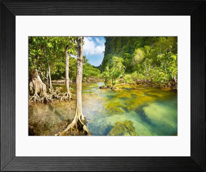 Framed Print : Thailand - mangrove forest in Tha Pom Khlong Song Nam National Park