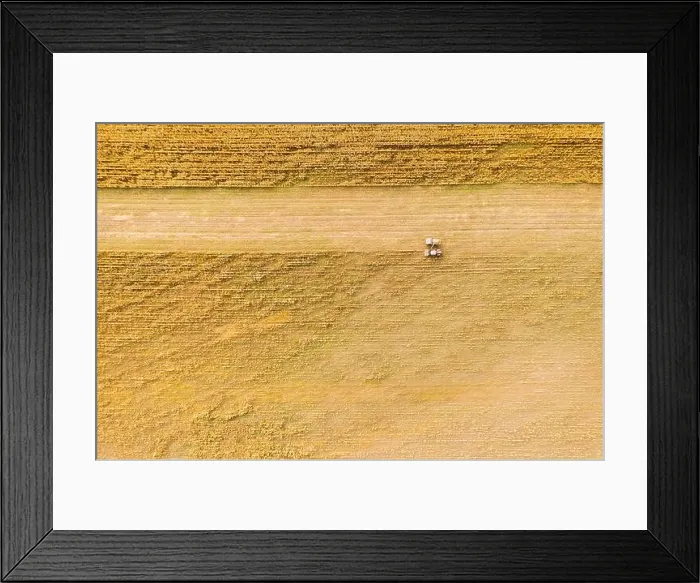 Framed Print : Aerial View Of Rural Landscape. Combine Harvester And Truck Working Together In Field, Collects Seeds. Harvesting Of Wheat In Autumn. Agricultural Mac Framed Print : Aerial View Of Rural Landscape. Combine Harvester And Truck Working Together In Field, Collects Seeds. Harvesting Of Wheat In Autumn. Agricultural Mac