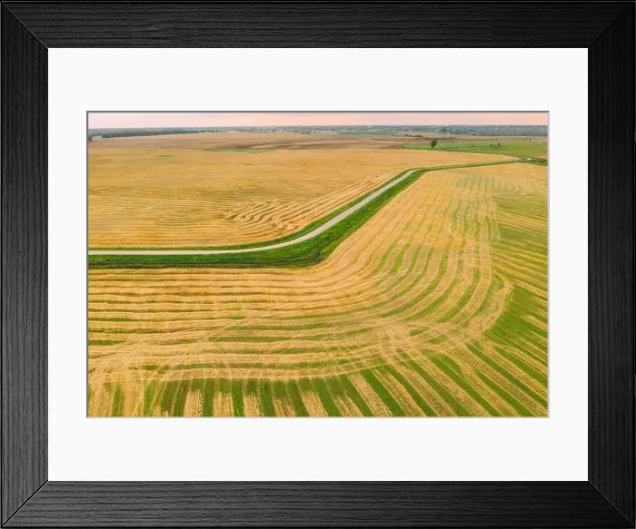 Framed Print : Aerial View Of Rural Landscape. Natural Green And Yellow Field With Trails Lines. Top View Of Field In Late Summer During Harvest. Bird's-eye Drone Vi Framed Print : Aerial View Of Rural Landscape. Natural Green And Yellow Field With Trails Lines. Top View Of Field In Late Summer During Harvest. Bird's-eye Drone Vi