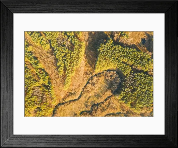 Framed Print : Aerial View Green Forest In Deforestation Area Landscape. Top View Of Woods. European Nature From High Attitude In Autumn Season. Drone View. Bird's E Framed Print : Aerial View Green Forest In Deforestation Area Landscape. Top View Of Woods. European Nature From High Attitude In Autumn Season. Drone View. Bird's E