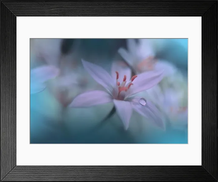 Framed Print : Beautiful Green Nature Background.Floral Art Design.Abstract Macro Photography.White Flower.Creative Artistic Wallpaper.Celebration and Holidays Framed Print : Beautiful Green Nature Background.Floral Art Design.Abstract Macro Photography.White Flower.Creative Artistic Wallpaper.Celebration and Holidays