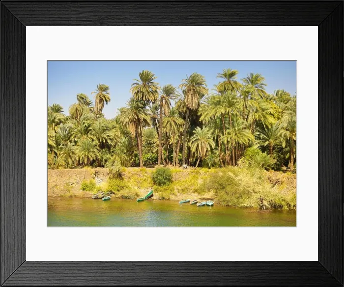 Framed Print : Egypt - bank of the Nile, riverside landscape of the valley of Nile, road to Aswan town, Egypt Framed Print : Egypt - bank of the Nile, riverside landscape of the valley of Nile, road to Aswan town, Egypt