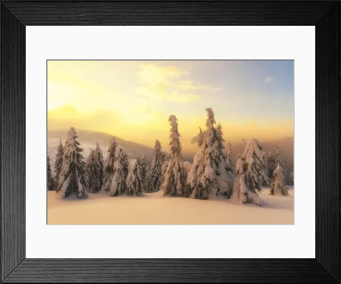 Framed Print : Fantastic winter landscape in snowy mountains glowing by morning sunlight. Dramatic wintry scene with frozen snowy trees at sunrise Framed Print : Fantastic winter landscape in snowy mountains glowing by morning sunlight. Dramatic wintry scene with frozen snowy trees at sunrise