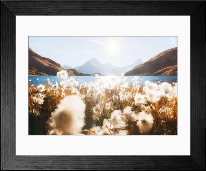 Framed Print : Picturesque view on Bachalpsee lake in Swiss Alps mountains. Grindelwald valley, Switzerland. Landscape photography Framed Print : Picturesque view on Bachalpsee lake in Swiss Alps mountains. Grindelwald valley, Switzerland. Landscape photography