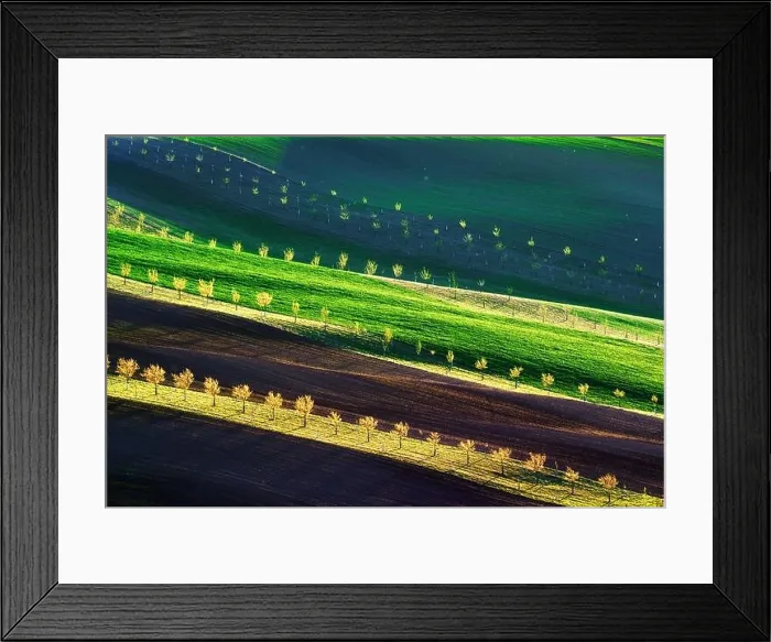 Framed Print : Green, brown and yellow waves of the agricultural fields of South Moravia, Czech Republic. Rural spring landscape with colored striped hills with Framed Print : Green, brown and yellow waves of the agricultural fields of South Moravia, Czech Republic. Rural spring landscape with colored striped hills with