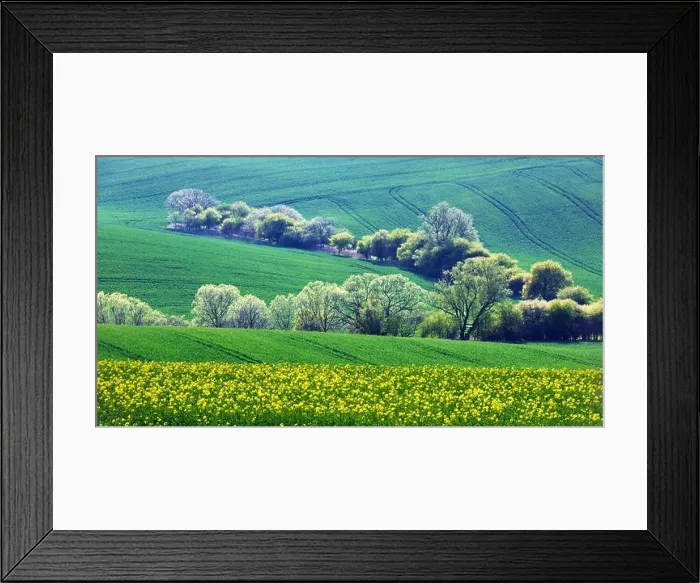 Framed Print : Rural landscape with agricultural fields and trees on spring hills. South Moravia region, Czech Republic