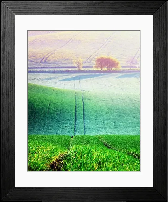 Framed Print : Picturesque rural landscape with green agricultural field and trees on spring hills. South Moravia region, Czech Republic Framed Print : Picturesque rural landscape with green agricultural field and trees on spring hills. South Moravia region, Czech Republic