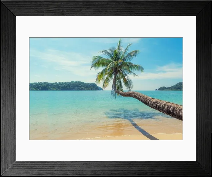 Framed Print : Coconut palm tree over summer beach sea with clear water sea and wave with island in background in Phuket, Thailand. Summer, Travel, Vacation and Holi Framed Print : Coconut palm tree over summer beach sea with clear water sea and wave with island in background in Phuket, Thailand. Summer, Travel, Vacation and Holi