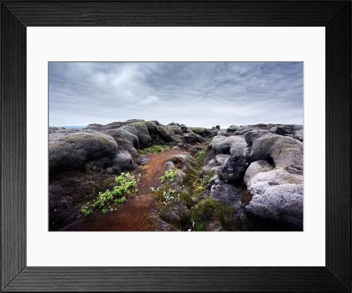 Framed Print : Exceptional Iceland landscape with lava field covered with brown moss Eldhraun from volcano eruption and cloudy sky Framed Print : Exceptional Iceland landscape with lava field covered with brown moss Eldhraun from volcano eruption and cloudy sky