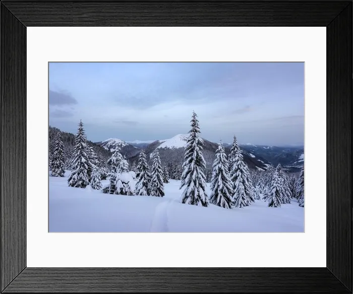 Framed Print : Fantastic winter landscape with snowy trees. Carpathian mountains, Ukraine, Europe. Christmas holiday concept Framed Print : Fantastic winter landscape with snowy trees. Carpathian mountains, Ukraine, Europe. Christmas holiday concept