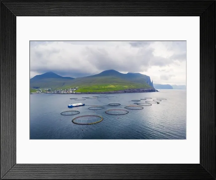 Framed Print : Dramatic morning view on Sandavagur village and fish farm on Vagar island, Faroe Islands, Denmark. Landscape photography Framed Print : Dramatic morning view on Sandavagur village and fish farm on Vagar island, Faroe Islands, Denmark. Landscape photography
