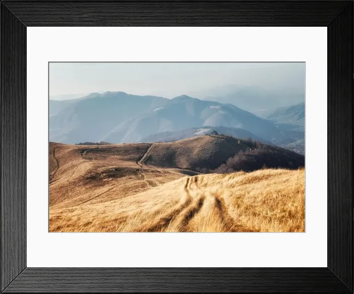 Framed Print : Yellow grass trembling in the wind in autumn mountains at sunrise. Carpathian mountains, Ukraine. Landscape photography Framed Print : Yellow grass trembling in the wind in autumn mountains at sunrise. Carpathian mountains, Ukraine. Landscape photography