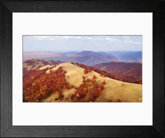 Framed Print : Autumn mountains and red beech forest in the Carpathian mountains, Ukraine. Aerial drone view on beautiful mountain landscape at sunrise Framed Print : Autumn mountains and red beech forest in the Carpathian mountains, Ukraine. Aerial drone view on beautiful mountain landscape at sunrise