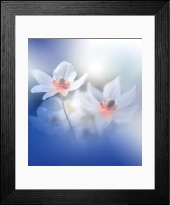 Framed Print : Beautiful Nature Background.Floral Art Design.Abstract Macro Photography.Creative Artistic Wallpaper.Classic Blue Color.Celebration, love.Happy Holiday Framed Print : Beautiful Nature Background.Floral Art Design.Abstract Macro Photography.Creative Artistic Wallpaper.Classic Blue Color.Celebration, love.Happy Holiday