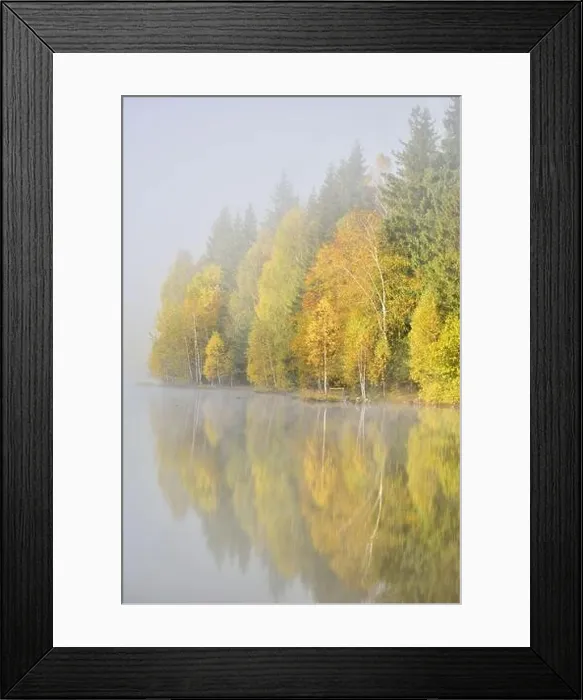 Framed Print : Autumn landscape in the mountains with trees reflecting in the water at St. Ana's lake, Romania Framed Print : Autumn landscape in the mountains with trees reflecting in the water at St. Ana's lake, Romania