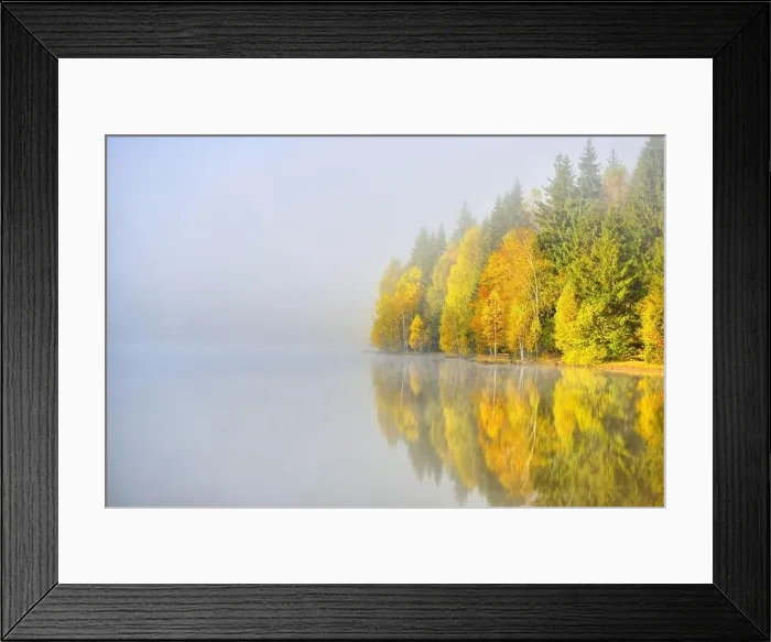 Framed Print : Autumn landscape in the mountains with trees reflecting in the water at St. Ana's lake, Romania Framed Print : Autumn landscape in the mountains with trees reflecting in the water at St. Ana's lake, Romania