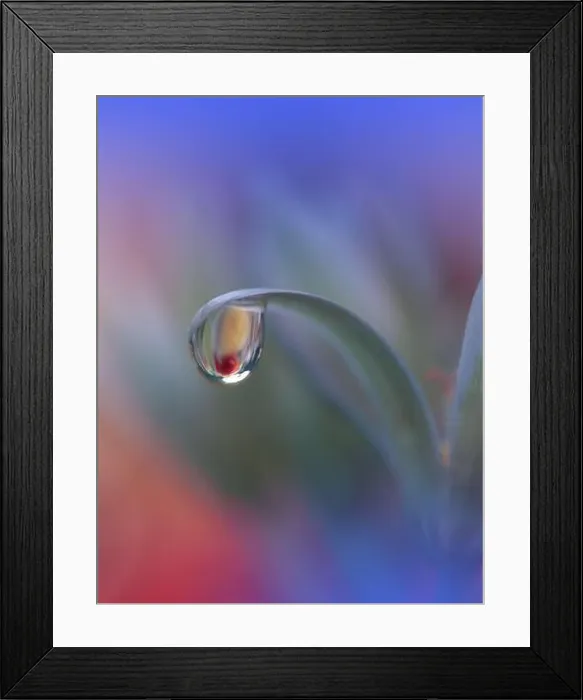 Framed Print : Beautiful Nature Background.Floral Art Design.Abstract Macro Photography.Colorful Flower.Pastel Flowers.Blue Background.Creative Artistic Wallpaper Framed Print : Beautiful Nature Background.Floral Art Design.Abstract Macro Photography.Colorful Flower.Pastel Flowers.Blue Background.Creative Artistic Wallpaper