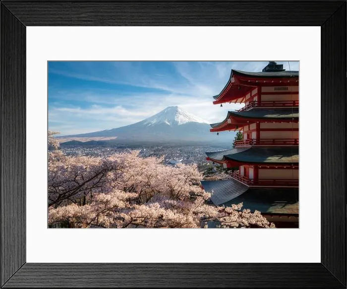 Framed Print : Fujiyoshida, Japan at Chureito Pagoda and Mt. Fuji in the spring with cherry blossoms full bloom during sunrise. Japan Landscape and nature travel, or Framed Print : Fujiyoshida, Japan at Chureito Pagoda and Mt. Fuji in the spring with cherry blossoms full bloom during sunrise. Japan Landscape and nature travel, or