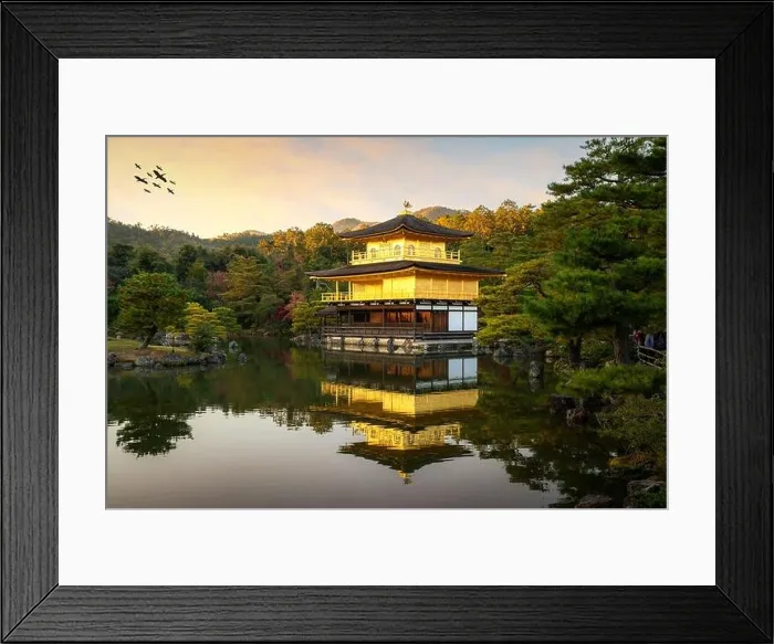 Framed Print : View of Kinkakuji the famous Golden Pavilion with Japanese garden and pond with dramatic evening sky in autumn season at Kyoto, Japan. Japan Landscape Framed Print : View of Kinkakuji the famous Golden Pavilion with Japanese garden and pond with dramatic evening sky in autumn season at Kyoto, Japan. Japan Landscape