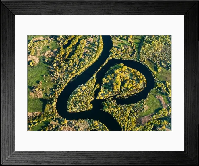 Framed Print : Aerial View Green Forest Woods And River Landscape In Sunny Spring Summer Day. Top View Of Nature, Bird's Eye View. Trees Standing In Water During Framed Print : Aerial View Green Forest Woods And River Landscape In Sunny Spring Summer Day. Top View Of Nature, Bird's Eye View. Trees Standing In Water During