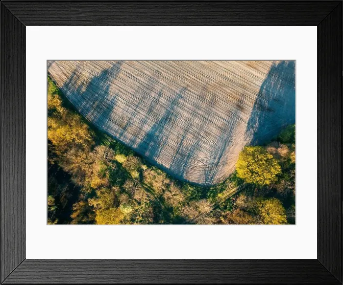 Framed Print : Beautiful spring field and Trees on border landscape. Sunny sunshine Day. Long Woods Shadows. Aerial View Amazing country Landscape Scenic View Of Framed Print : Beautiful spring field and Trees on border landscape. Sunny sunshine Day. Long Woods Shadows. Aerial View Amazing country Landscape Scenic View Of
