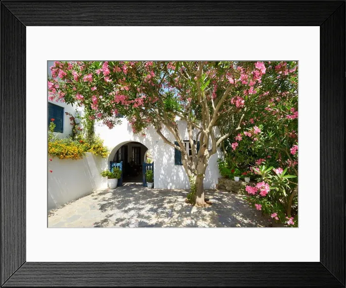 Framed Print : Blooming flowers in Mykonos Town, Chora - Mykonos Island, Greece Framed Print : Blooming flowers in Mykonos Town, Chora - Mykonos Island, Greece