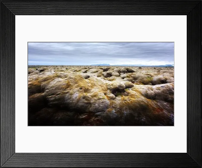 Framed Print : Unusual Iceland landscape with lava field covered with brown moss Eldhraun from volcano eruption and cloudy sky Framed Print : Unusual Iceland landscape with lava field covered with brown moss Eldhraun from volcano eruption and cloudy sky
