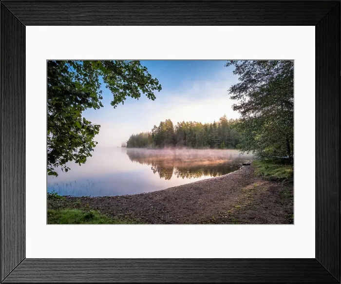 Framed Print : Idyllic sand beach landscape with sunrise light and birch trees at summer morning in National Park Finland Framed Print : Idyllic sand beach landscape with sunrise light and birch trees at summer morning in National Park Finland