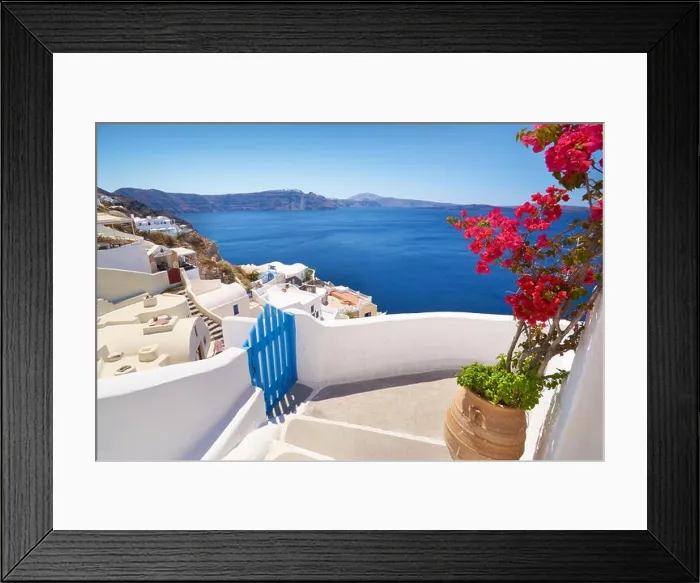 Framed Print : Santorini landscape with blooming flowers in Oia Town, Santorini Island, Cyclades, Greece Framed Print : Santorini landscape with blooming flowers in Oia Town, Santorini Island, Cyclades, Greece