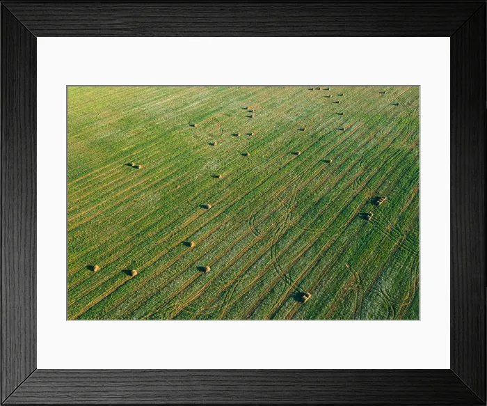 Framed Print : Aerial View of Summer Field Landscape With With Dry Hay Bales During Harvest. Trails Lines on Farmland. Top View Agricultural Landscape. Drone View. B Framed Print : Aerial View of Summer Field Landscape With With Dry Hay Bales During Harvest. Trails Lines on Farmland. Top View Agricultural Landscape. Drone View. B