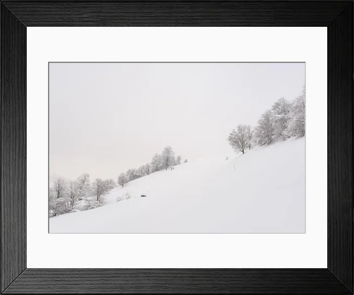Framed Print : Minimalistic winter landscape in cloudy weather with snowy trees. Carpathian mountains, Landscape photography Framed Print : Minimalistic winter landscape in cloudy weather with snowy trees. Carpathian mountains, Landscape photography