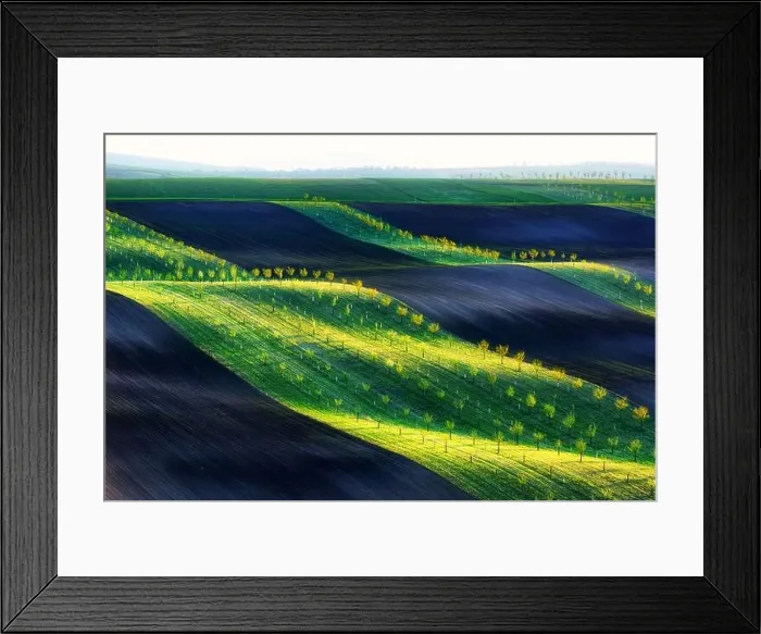 Framed Print : Green, brown and yellow waves of the agricultural fields of South Moravia, Czech Republic. Rural spring landscape with colored striped hills with Framed Print : Green, brown and yellow waves of the agricultural fields of South Moravia, Czech Republic. Rural spring landscape with colored striped hills with