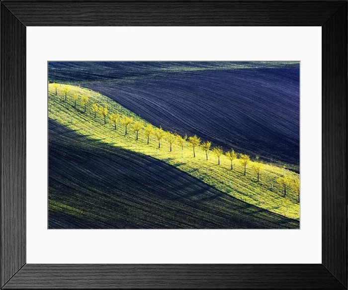 Framed Print : Rural spring landscape with colored striped hills and trees garden. Green and brown waves of the agricultural fields of South Moravia, Czech Republic Framed Print : Rural spring landscape with colored striped hills and trees garden. Green and brown waves of the agricultural fields of South Moravia, Czech Republic