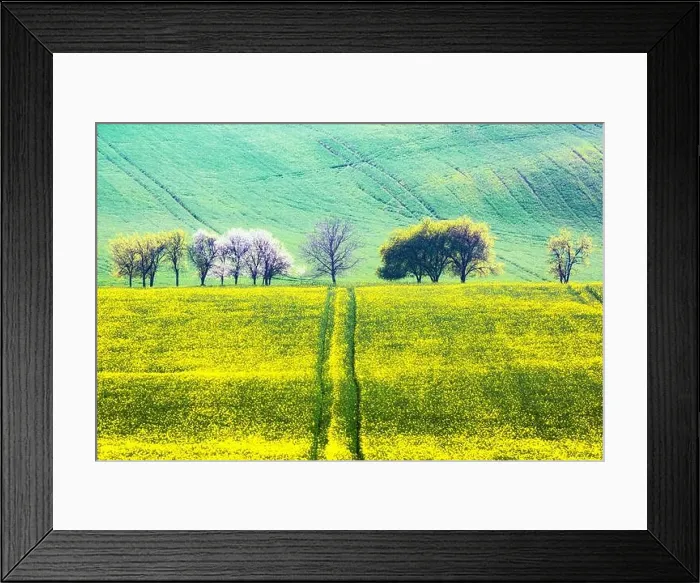 Framed Print : Picturesque rural landscape with green agricultural field and trees on spring hills. South Moravia region, Czech Republic Framed Print : Picturesque rural landscape with green agricultural field and trees on spring hills. South Moravia region, Czech Republic