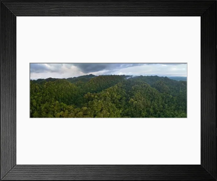Framed Print : Remote, rugged islands in West Papua, Indonesia, are covered by thick, green rainforest. This tropical region harbors extraordinary biodiversity Framed Print : Remote, rugged islands in West Papua, Indonesia, are covered by thick, green rainforest. This tropical region harbors extraordinary biodiversity