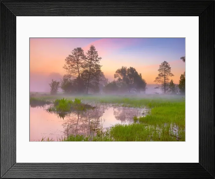 Framed Print : Sunrise lundscape at Biebrza National Park, Poland Framed Print : Sunrise lundscape at Biebrza National Park, Poland