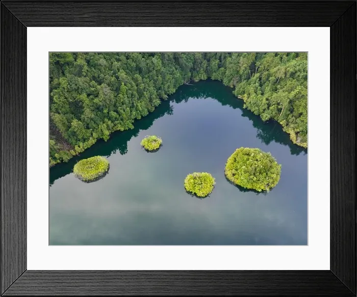 Framed Print : A large marine lake is found within beautiful limestone islands that rise from West Papua's seascape. Marine lakes are enclosed saltwater ecosystems Framed Print : A large marine lake is found within beautiful limestone islands that rise from West Papua's seascape. Marine lakes are enclosed saltwater ecosystems